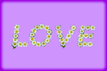 Love word laid out from flowers.