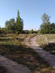 path