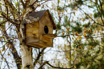  old wooden birdhouse on a tree