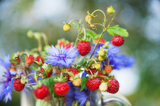 Bouquet from wild strawberry and flowers. Healthy natural food. Ecological clean products. Close up picture