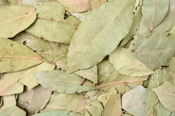 Dried bay leaves texture background