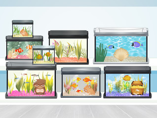 illustration of aquarium shop