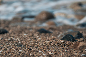 Seashells on the beach