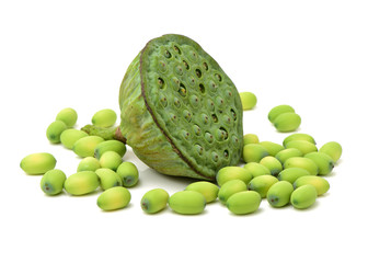 calyx on a white background