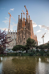 Fototapeta premium Sagrada Familia - Barcelona Hiszpania