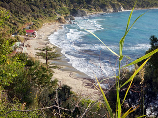 the wind blows over the bay shaking and waving the vegetation and pushing the the sea to cover the...
