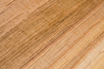 Naklejka premium Beech (Fagus sylvatica) wood texture. Interesting abstract background.