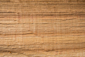Fototapeta premium Beech (Fagus sylvatica) wood texture. Interesting abstract background.