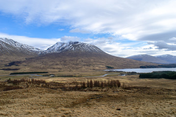 Snow on the mountain