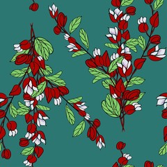 Fiji Blossom, Illustration of Tagimaucia Flower or Medinilla Waterhousei. The National Flower of Fiji.