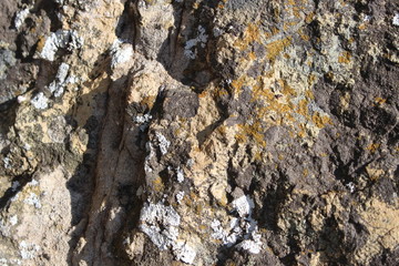 Travelling at Wat Khao Wongphrachan, Lopburi Province, Thailand