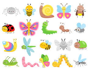 Fototapeta Cute insects. Big set of cartoon insects for kids and children. Butterflies, snail, spider, moth and many other obraz