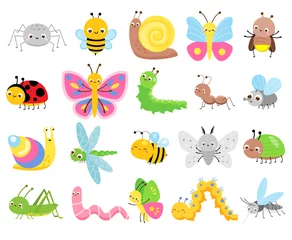 Foto op Plexiglas Cute insects. Big set of cartoon insects for kids and children. Butterflies, snail, spider, moth and many other © ksuklein