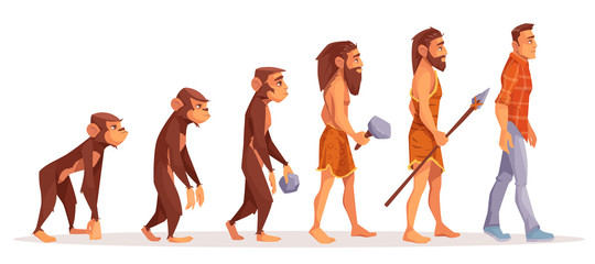 Human evolution cartoon vector concept. Male monkey, walking upright primate, prehistoric, stone age hunter with primitive tool and weapon, modern man in daily clothing illustration isolated on white