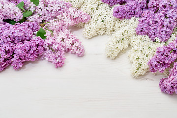 Floral pattern of white pink lilac branches, flowers background. Flat lay, top view.