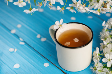 Spring tea Cup, cherry blossom on blue wooden background