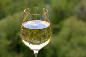 Glass of white wine on green nature blurred background. Concept of celebration, wine drinking outdoors, champagne tasting