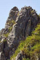 Alpine landscape in the spring