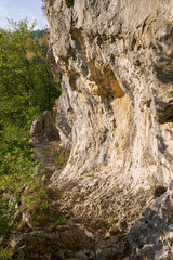 Hiking trail in the mountain forest