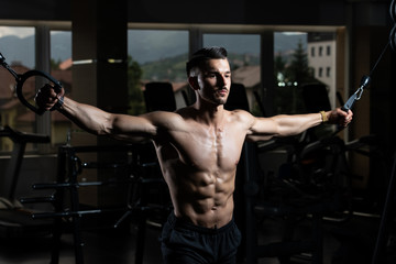 Obraz na płótnie Canvas Muscular Man Exercising Chest