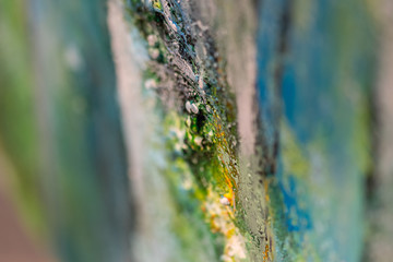 Obraz premium Kleiner Blick auf ein Ölgemälde