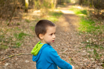 A boy in a blue sweater looks to the side in the forest, the view in profile, the trees at the edge of the forest