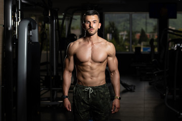 Fototapeta na wymiar Portrait Of A Physically Fit Muscular Young Man