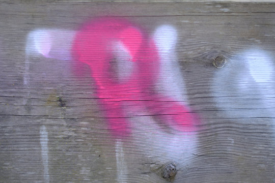 A simple letter R painted on a wall.