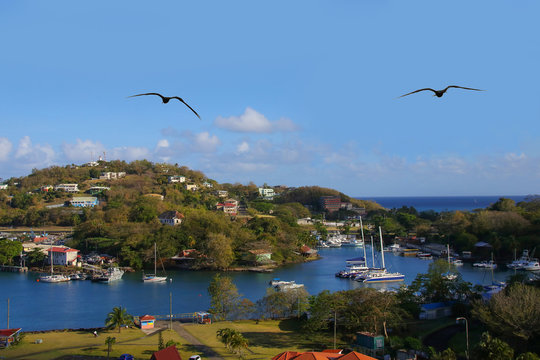 Port of St. Lucia with flying Frigate birds, Lesser Antilles , view from a cruise ship