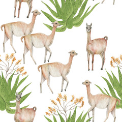 Watercolor painting seamless pattern with white llamas