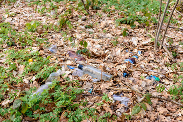 Illegal garbage in spring forest, ecological catastrophe on a large scale in underdeveloped countries.