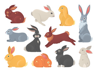 Obraz premium Vector set of cute rabbits in cartoon style. Bunny pet silhouette in different poses. Hare and rabbit colorful animals collection.