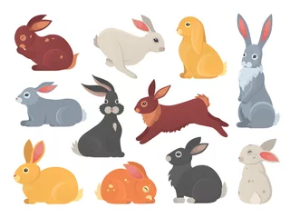 Poster Schattige konijntjes Vector set schattige konijnen in cartoon stijl. Bunny huisdier silhouet in verschillende poses. Haas en konijn kleurrijke dieren collectie.
