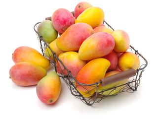 Mango on white background