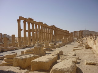 Fototapeta premium Palmyra