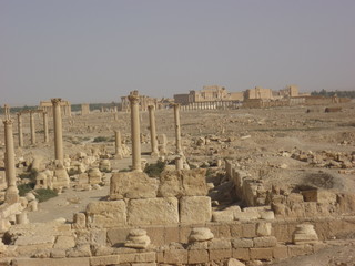 Palmyra