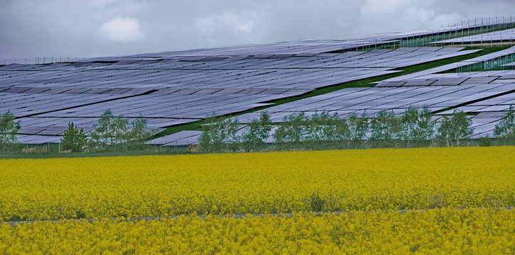 Rapsfeld und Solaranlage auf alter Deponie s&uuml;dlich der Berliner Stadtgrenze