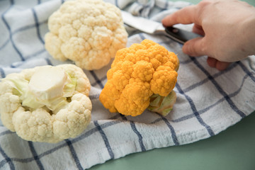 Frau bei Zubereitung von bunten Blumenkohl in Orange und Weiß auf Geschirrtuch mit Messer auf Pastell Grün Hintergrund