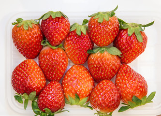 Shoot strawberries up close