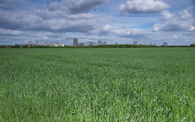 Berlin-Neukölln und Feld in Großziethen (Brandenburg)