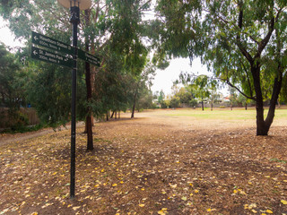 Inner suburban park in Hawthorn in a leafy part of Melbourne.