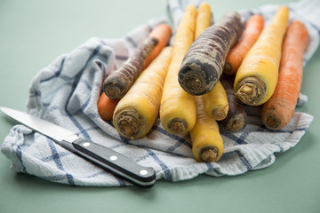 Bunte Urkarotte und Möhren in Lila, Orange und Gelb auf Geschirrtuch mit Messer auf Pastell Mint...