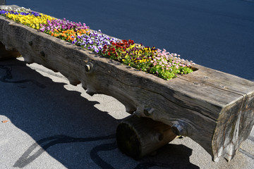Ausgedienter Holzbrunnentrog mit Blumen, Engelberg, Obwalden, Schweiz