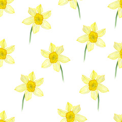 watercolor pattern with Narcissus/ yellow flower/ nature design