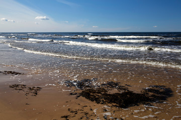Baltic Sea shore on cold windy sunny afternoon in April