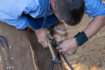farrier working on a horse