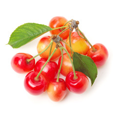 Cherry isolated on white background
