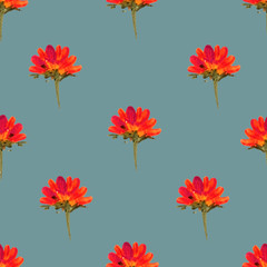 seamless pattern of flowers painted watercolor. Colorful flowers, twigs and leaves. Grey Background. Print for fabric, wallpaper and textiles.