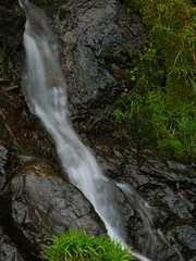 Obraz premium waterfall in the forest