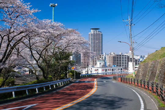 54 Best いろは坂通り Images Stock Photos Vectors Adobe Stock